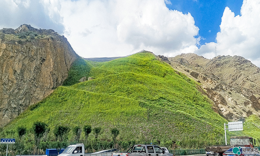 CA88(中国区)有限公司 - 官方网站