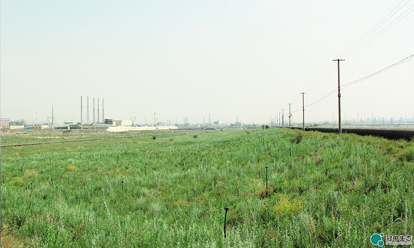 CA88(中国区)有限公司 - 官方网站